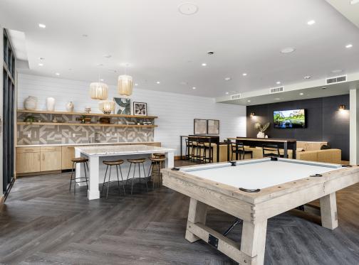 Clubhouse Interior Pool Table